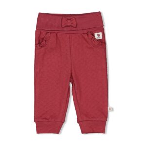 Broek - Ladybug